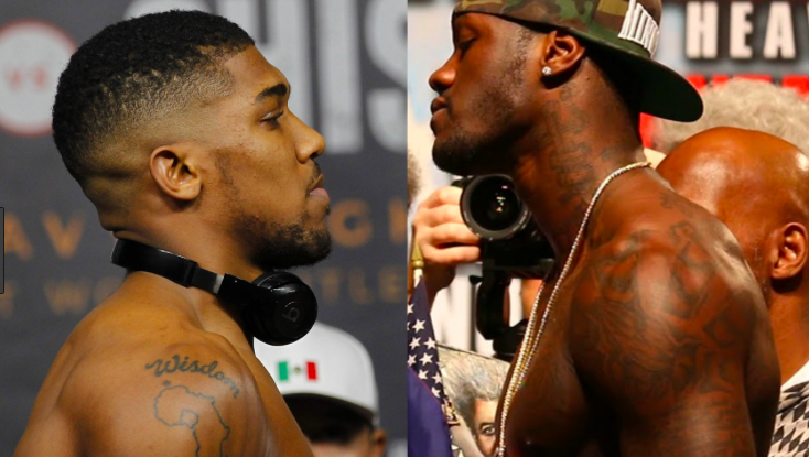 Image result for Wilder and joshua